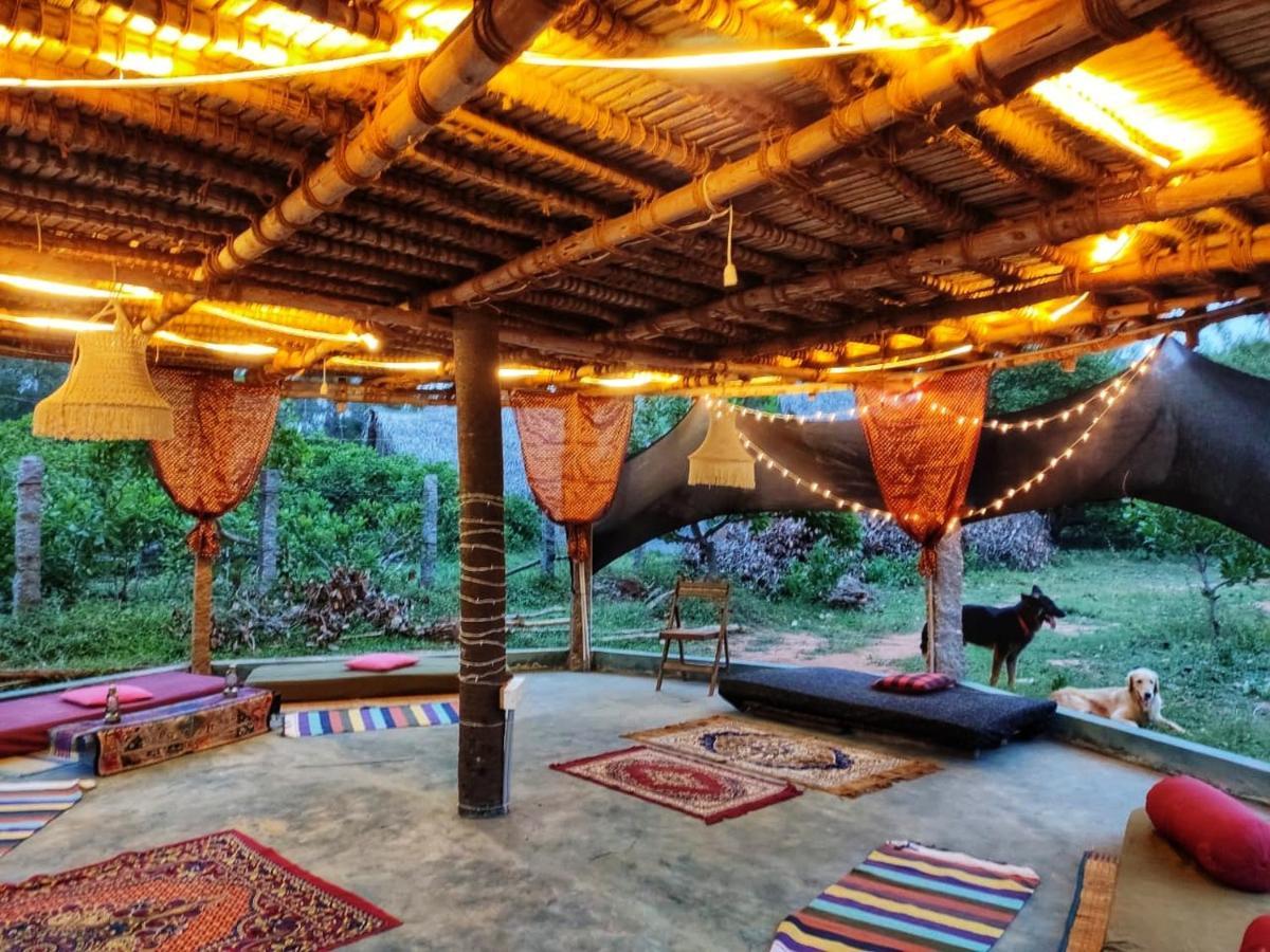 Beyond Community Apartamento Auroville Exterior foto