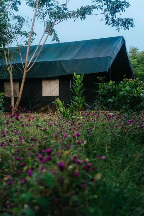 Beyond Community Apartamento Auroville Exterior foto
