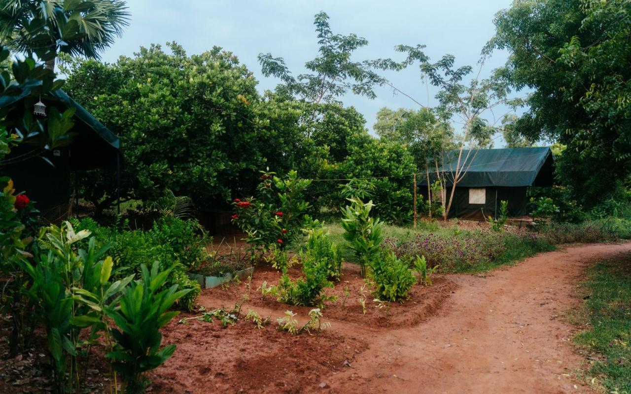 Beyond Community Apartamento Auroville Exterior foto