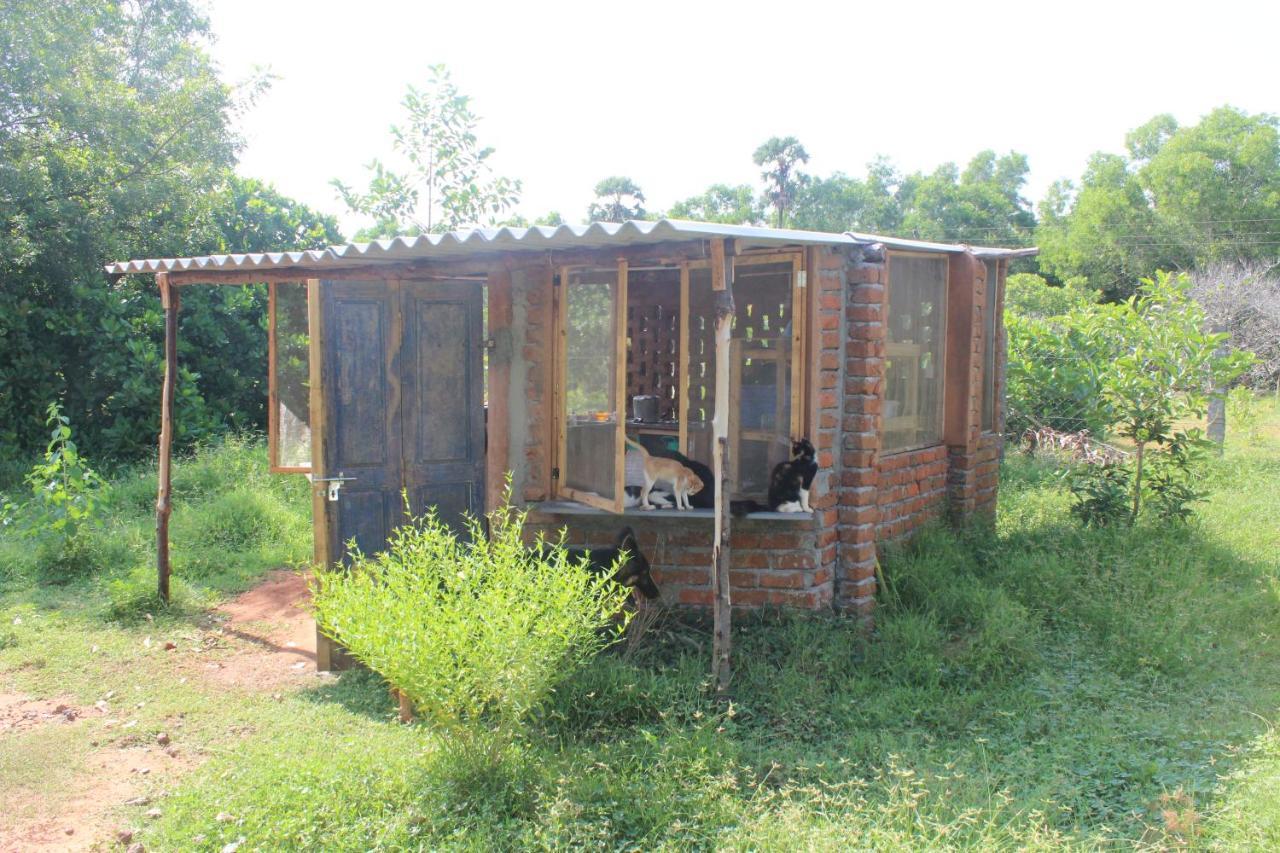 Beyond Community Apartamento Auroville Exterior foto