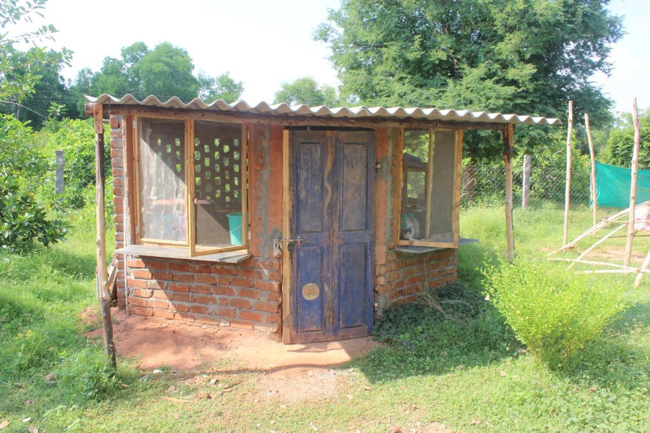 Beyond Community Apartamento Auroville Exterior foto